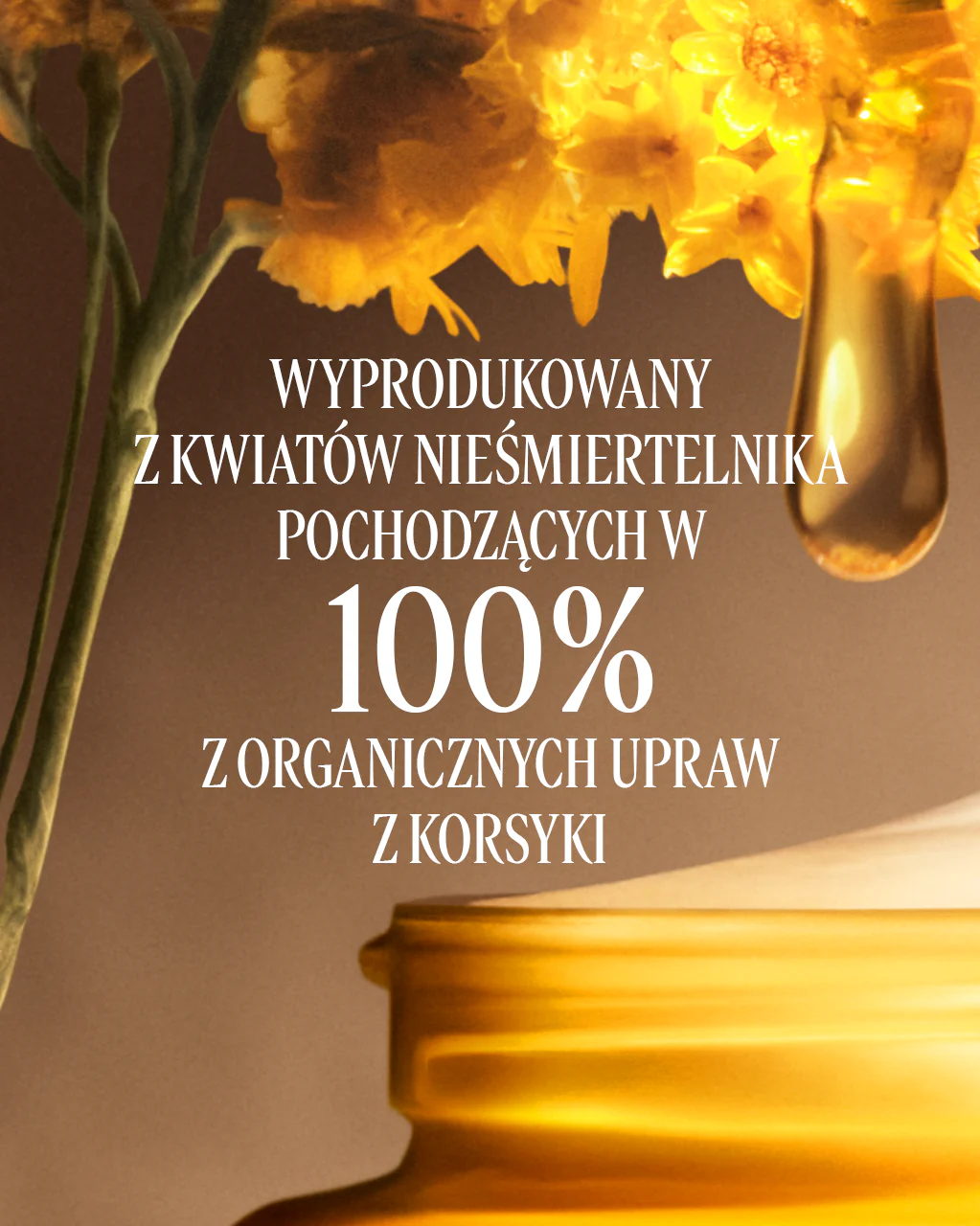 Krem do twarzy Divine - Image 4