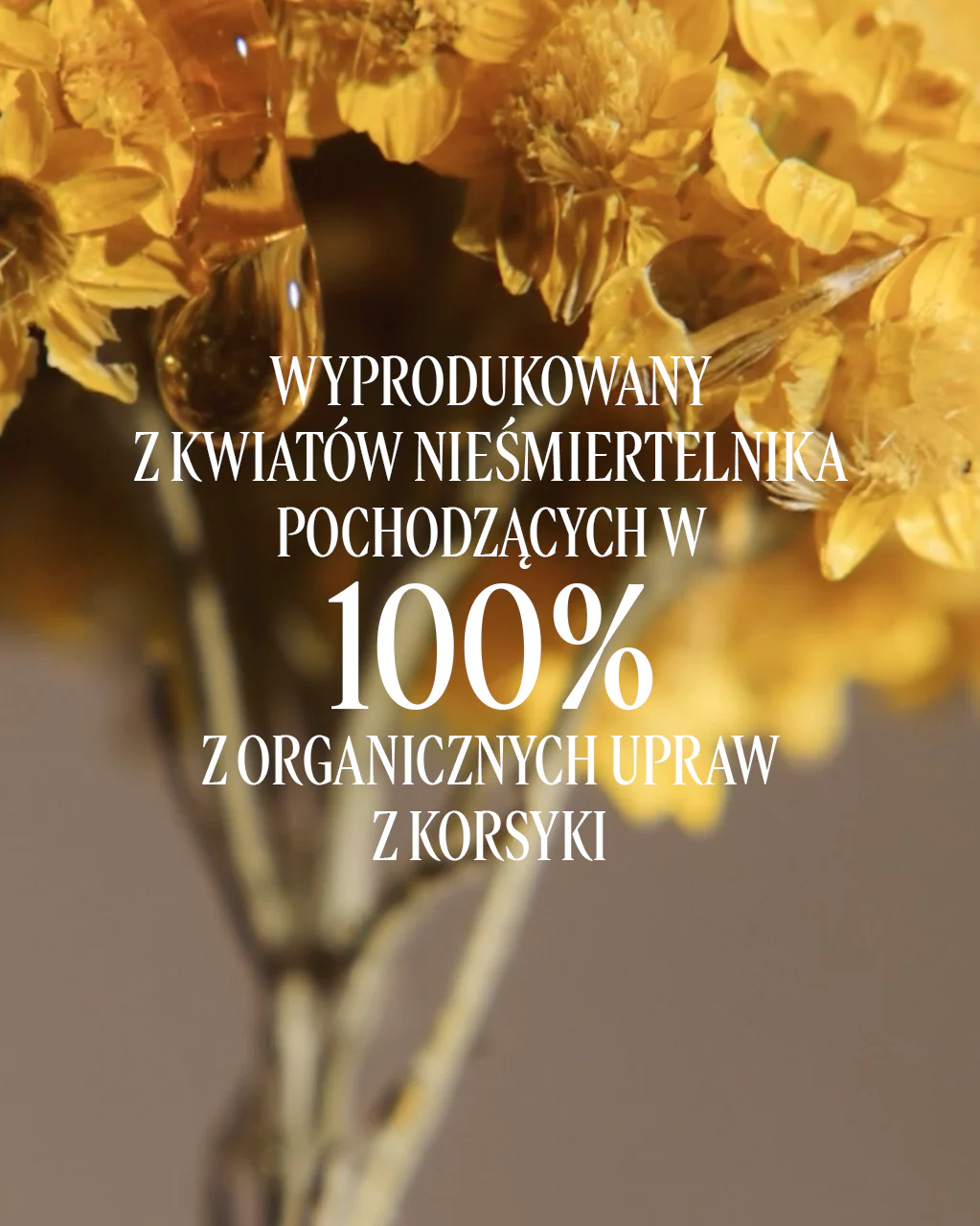 Serum do twarzy na noc Immortelle Reset - Image 4